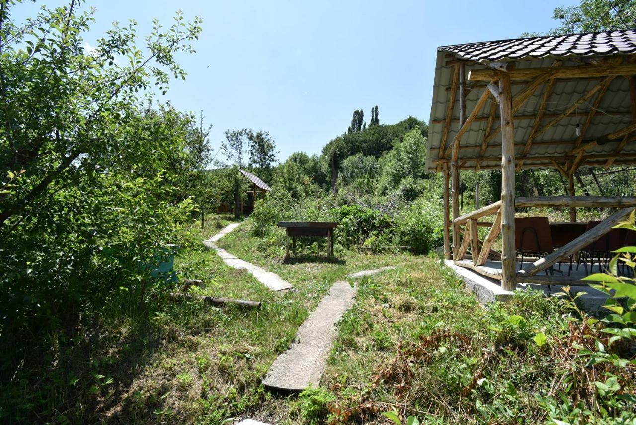 Guest House Arsan Tsaghkadzor Dış mekan fotoğraf
