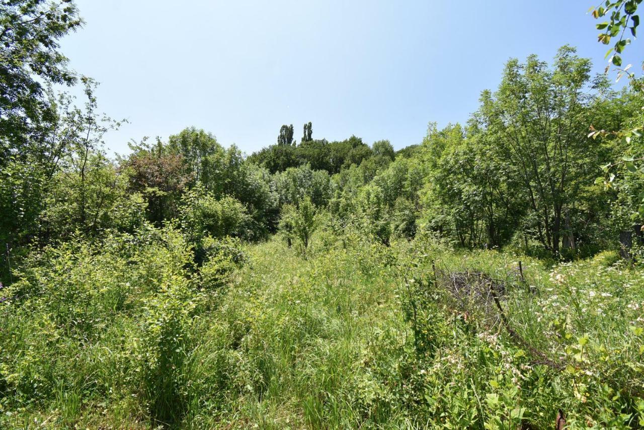 Guest House Arsan Tsaghkadzor Dış mekan fotoğraf